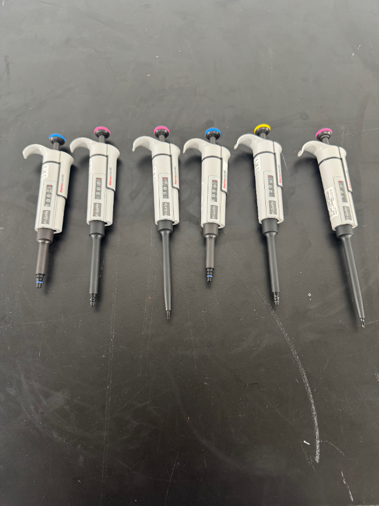 Image of Thermo F1-ClipTip Single Channel Pipettes - Quantity 6